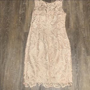 Adrianna Papell Champagne Sleeveless Sheath Dress